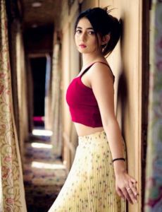 escort service in Chandigarh