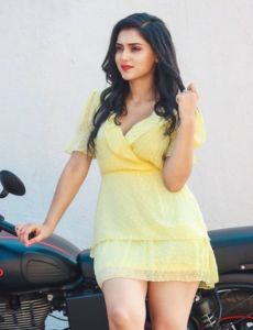 Chandigarh call girls